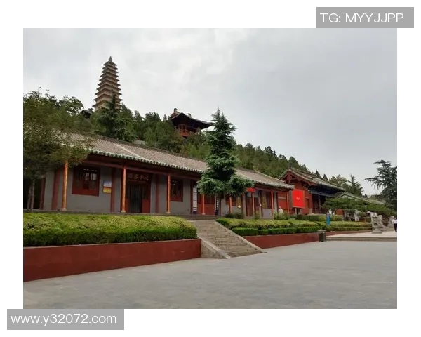 倪永康的政治生涯与影响力探讨：从官场风云到历史评价的全景分析