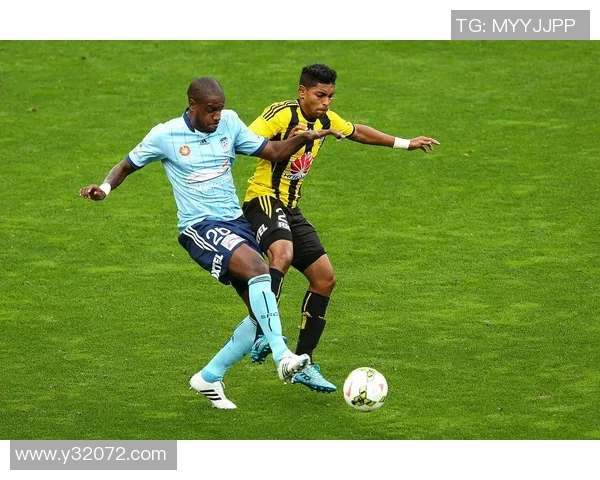 惠灵顿凤凰主场迎战新城堡联力争三分展现球队实力与决心 惠灵顿凤凰主场迎战新城堡联力争三分展现球队实力与决心